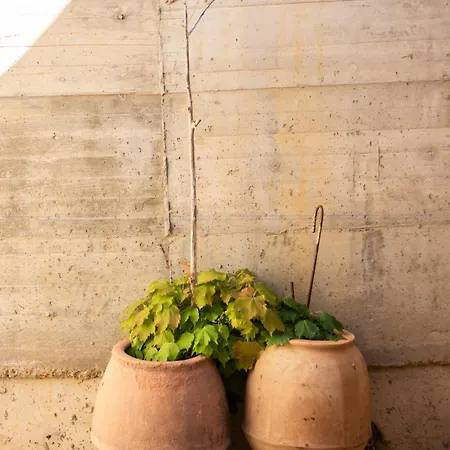 Casa de Férias La Caracola