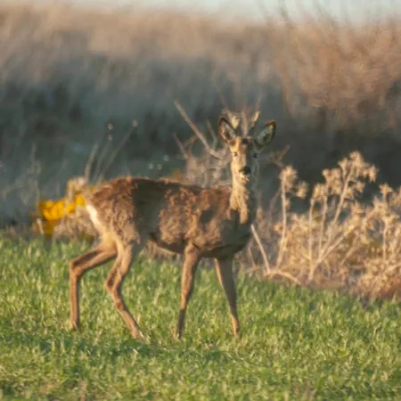 La Caracola Casa de Férias