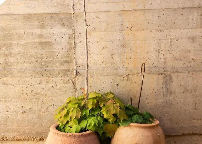 Hébergement de vacances La Caracola