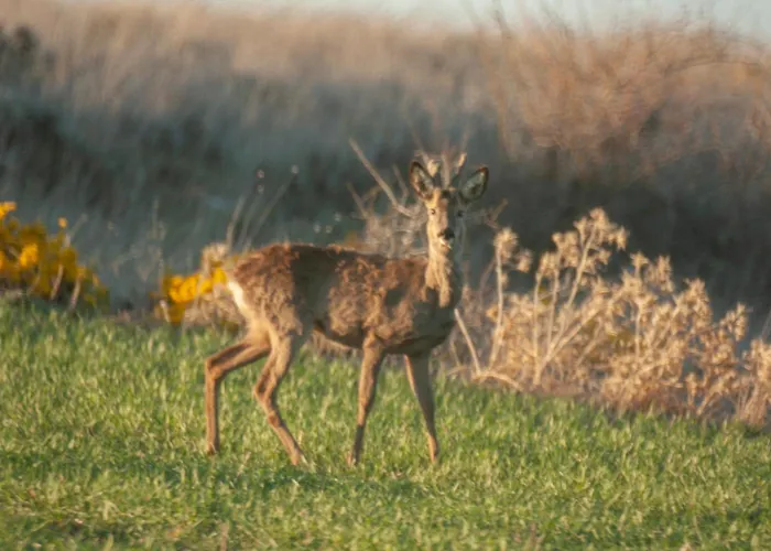 La Caracola Hébergement de vacances